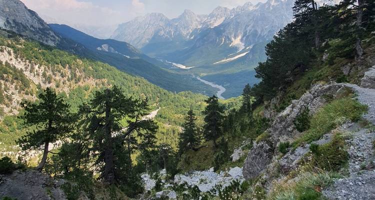Valle montañoso con árboles de bosque denso