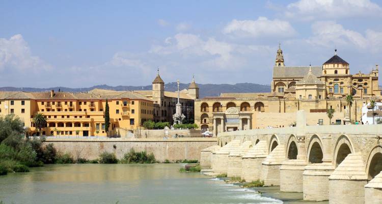 Vue historique de la ville avec un pont en pierre sur une rivière.