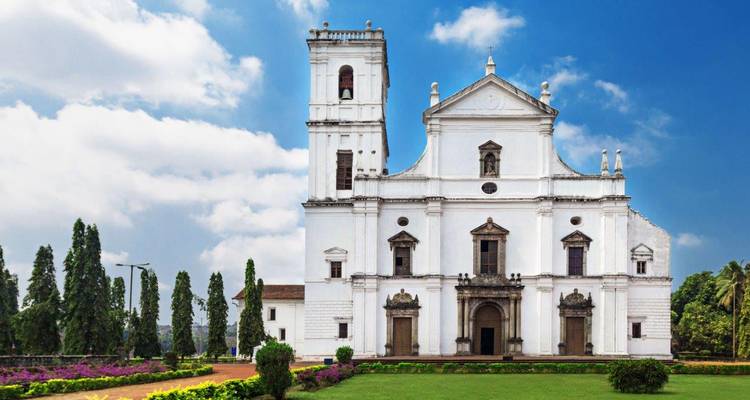 Historische kerk van de Heilige Cajetan omgeven door groen.