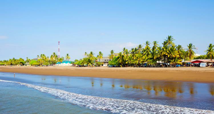 Langer Sandstrand mit Palmen und Wellen