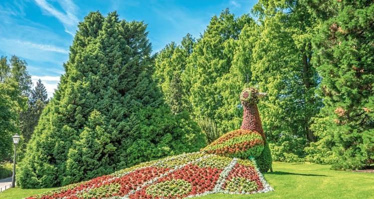 Große Pfauen-Skulptur, die vollständig aus leuchtenden Blumen besteht und in einem üppigen botanischen Garten aufgestellt ist.