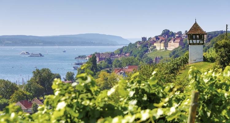 Grüne Weinberge erstrecken sich hinab zum Bodensee mit malerischen Dörfern und fernen Hügeln unter einem klaren Himmel.
