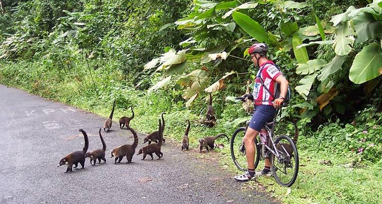 Costa Rica Coast to Coast Ride - Exodus Adventure Travels 7