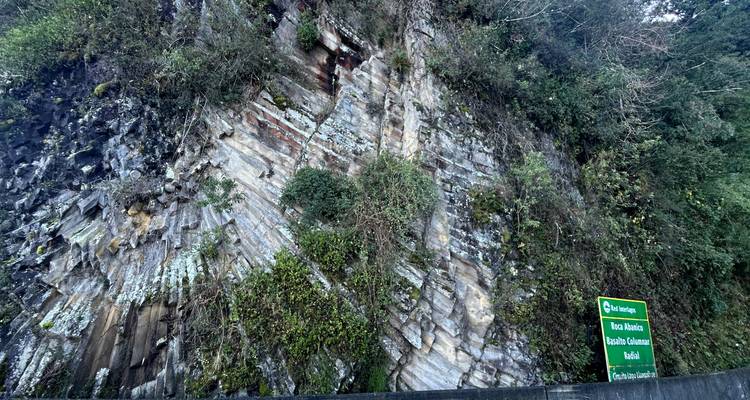 Corte de roca en la carretera que revela estratos dramáticamente plegados cubiertos con vegetación, acompañado por una pequeña señal verde de autopista.