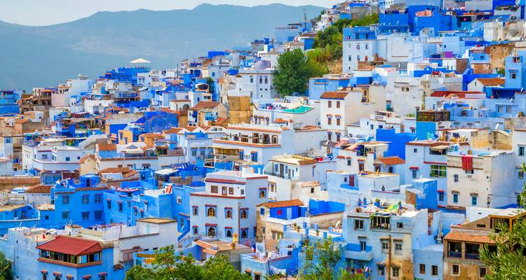 Arquitectura pintada de azul densamente concentrada en una ladera.