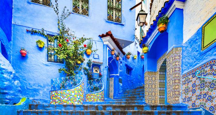 Ruelle bleue colorée avec escaliers et plantes.