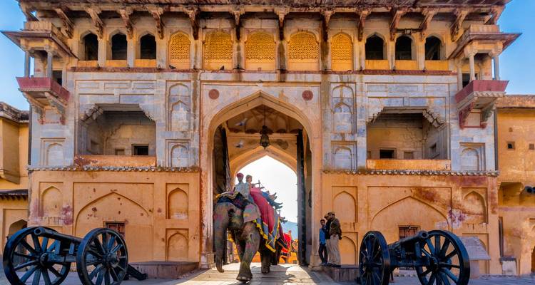 Olifant die het Amber Fort in Jaipur, India binnenkomt.