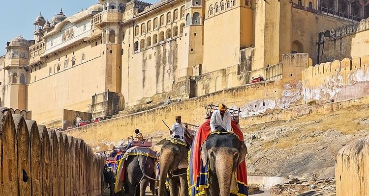 Olifanten die het pad beklimmen bij Amber Fort in Jaipur, India.