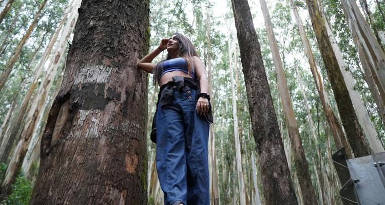 Persona parada en un bosque mirando hacia arriba.