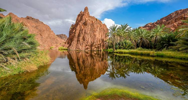 Paisaje rocoso con un estanque rodeado de palmeras.