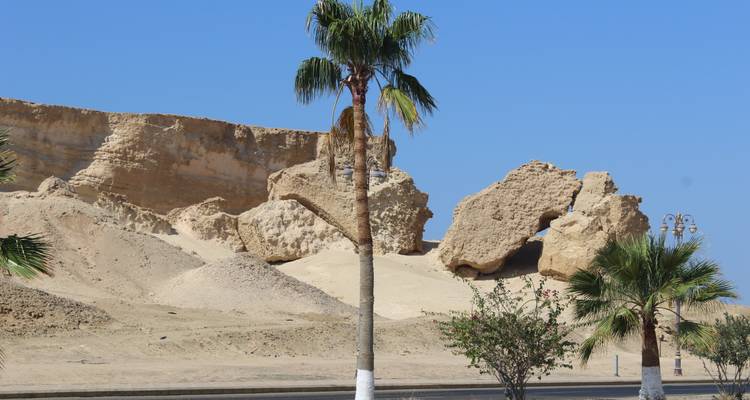 Paisaje desértico con palmeras y acantilados arenosos.