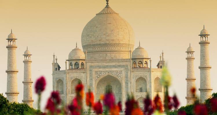 De Taj Mahal bekeken door bloeiende bloemen bij zonsondergang.
