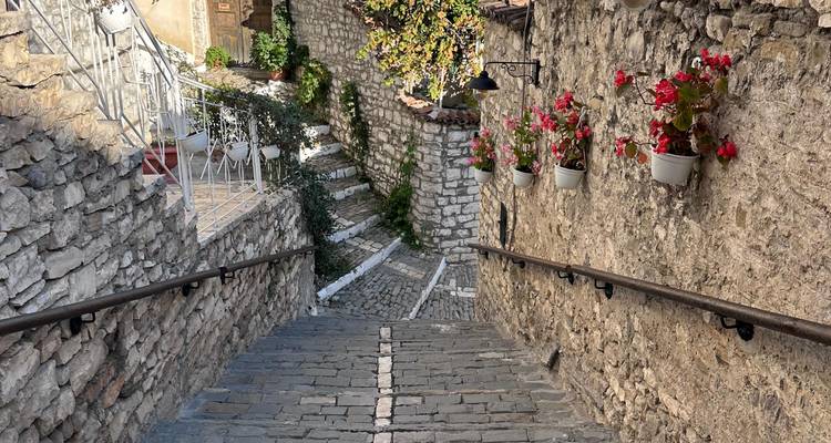 Escalera de piedra en un pueblo pintoresco con plantas floridas.