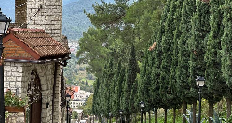 Sendero bordeado de árboles altos que conduce hacia un valle.