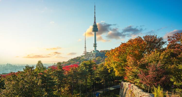 La Torre N de Seúl se eleva sobre el colorido follaje otoñal en la montaña Namsan contra un cielo matutino despejado