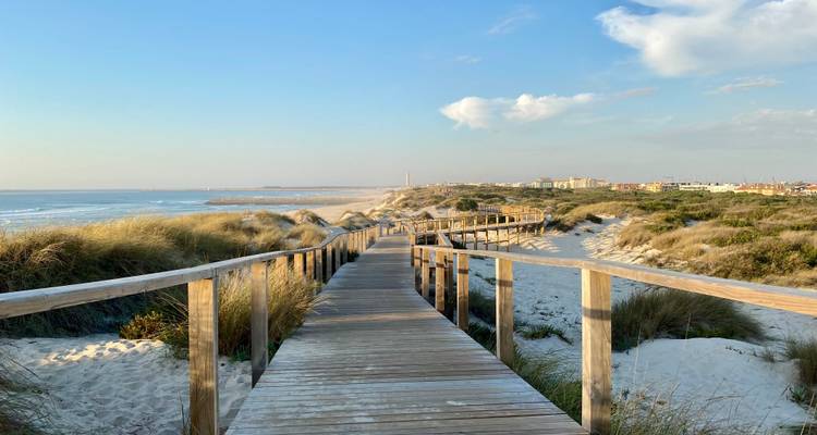 Strandpromenade, die zu einem ruhigen Strand mit Dünen und klarem Himmel führt.