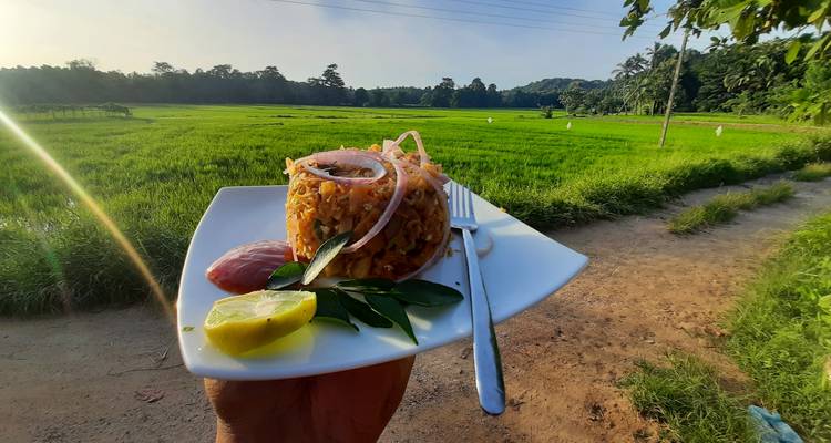 Assiette de riz et de curry avec un paysage de champ rural en arrière-plan.