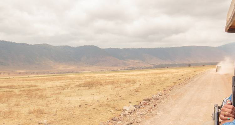 Offene Savannenlandschaft mit fernen Hügeln.