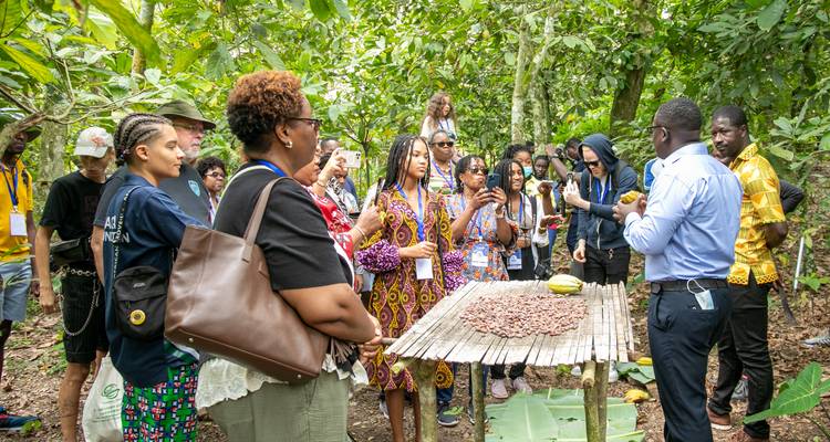 Groep mensen die leren over cacao in een boerderijomgeving.