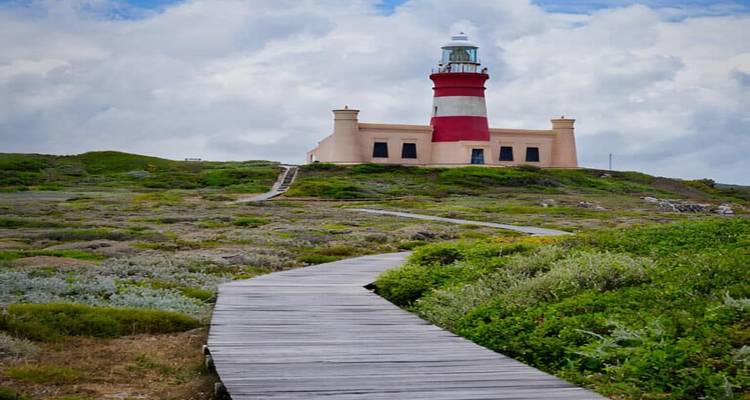 Phare à rayures rouges et blanches au sommet d'une colline basse accessible par une passerelle en bois à travers la végétation côtière.