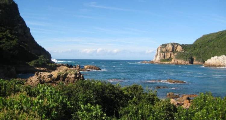 Promontoires rocheux et mer turquoise vus à travers une végétation côtière luxuriante par une journée claire.