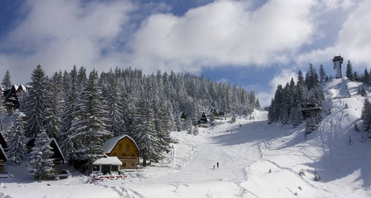 Pueblo cubierto de nieve con densos bosques y colinas.