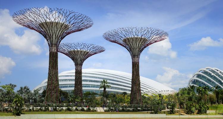 Superárboles de Gardens by the Bay en Singapur.