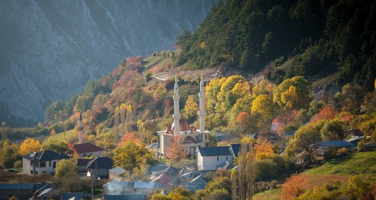 Vista aérea de una mezquita rodeada de árboles otoñales coloridos.