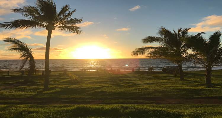 Coucher de soleil sur l'océan avec des palmiers en silhouette.