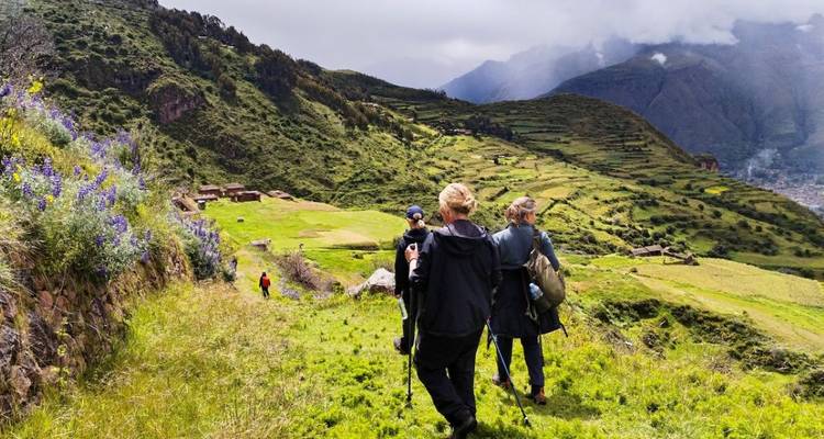 Excursionistas caminando por terreno montañoso verde.