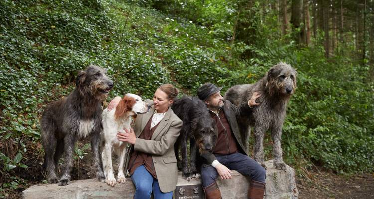 Personas acariciando perros grandes en un entorno natural.