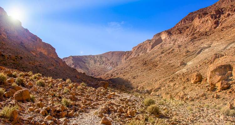 Eine felsige Wüstenlandschaft mit Sonnenlicht, das lange Schatten wirft.