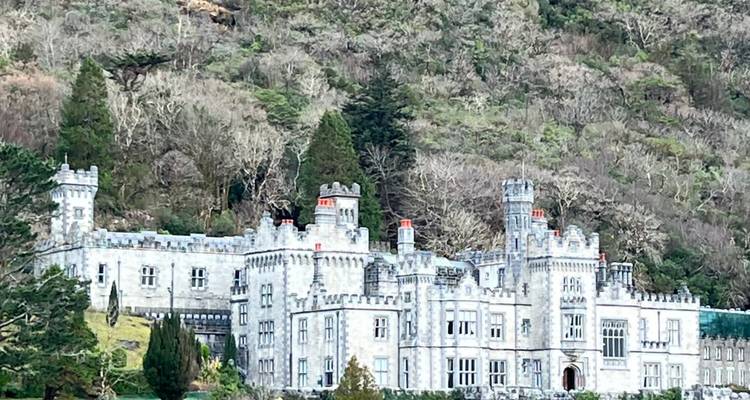 Gran castillo histórico situado contra una ladera boscosa.