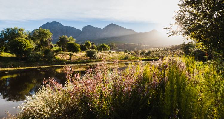 Wilde bloemen en een kalme vijver voor groene valleien en mistige bergen bij zonsopgang.