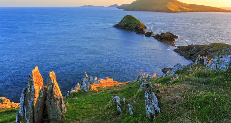 Eine dramatische Küstenklippe mit üppiger Vegetation und dem Meer.