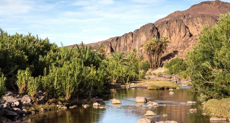 Rivière entourée d'une végétation luxuriante et de rochers.