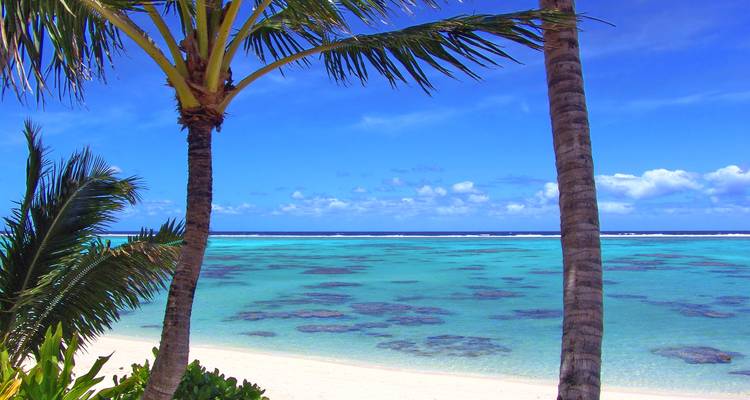 Palmeras enmarcando una playa tropical turquesa.