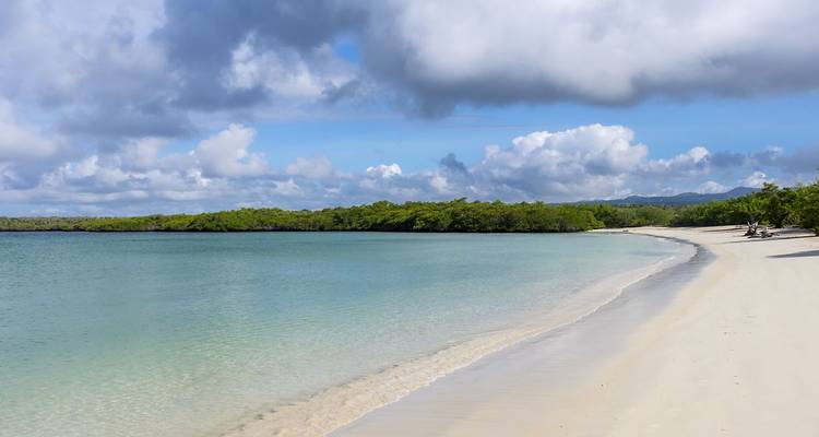 Rustig wit zandstrand met helder turquoise water en mangroves onder een gedeeltelijk bewolkte hemel.
