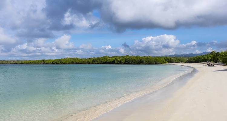 Zandstrand met turquoise water en groen gebladerte onder een blauwe hemel.