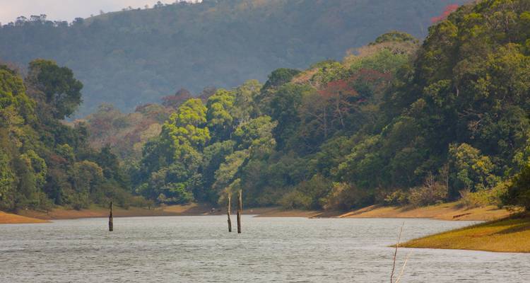 Rustige beboste rivier slingert door mistige vallei in Periyar Wildlife Sanctuary op een bewolkte dag.