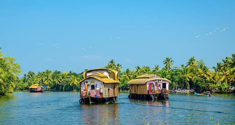 Dos casas flotantes navegando por remansos bordeados de palmeras bajo un cielo azul despejado.