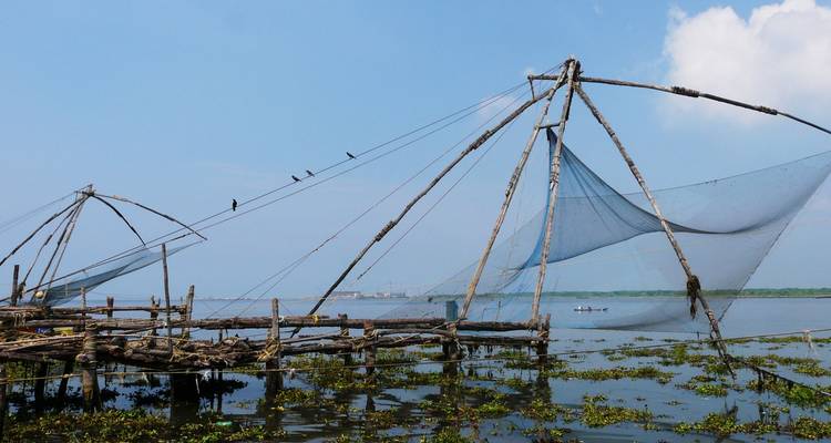 Las redes de pesca chinas de madera están paradas en aguas tranquilas con pájaros posados en el marco.