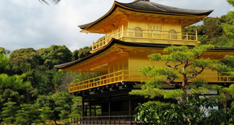 Side view of the golden Kinkaku-ji pavilion surrounded by lush green trees.