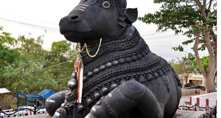 Gran estatua negra de un búfalo decorado en un entorno al aire libre.