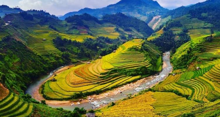 Campos de arroz en terrazas con un río serpenteando a través de un valle.