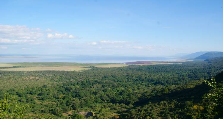 Vista aérea panorámica de un vasto paisaje de sabana.