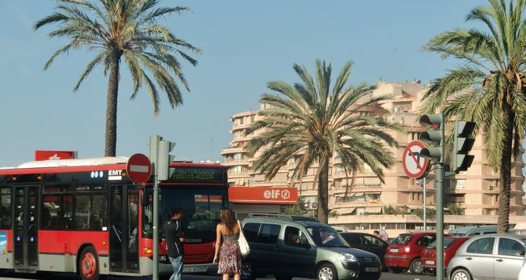 Calle de la ciudad con palmeras, un autobús y edificios.
