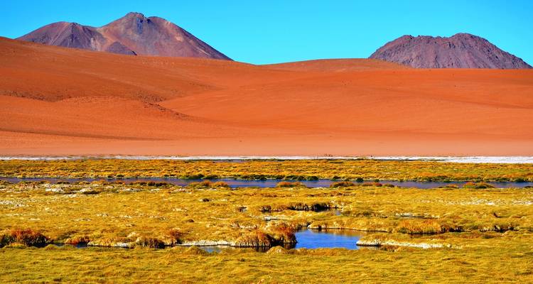 Kleurrijk landschap met heuvels en kleine waterpoelen.