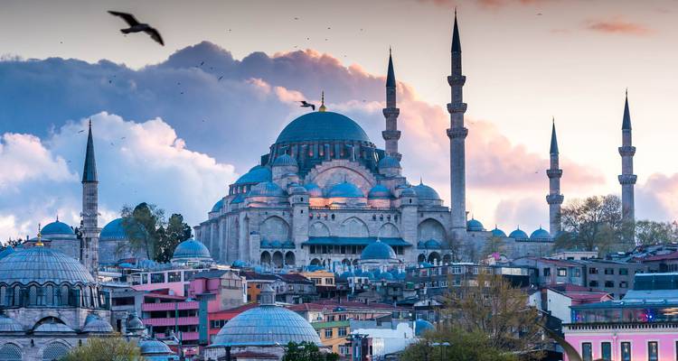 Paisaje urbano con una gran mezquita y minaretes al anochecer.