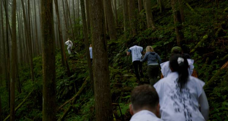 Grupo haciendo senderismo por una zona boscosa en un sendero.